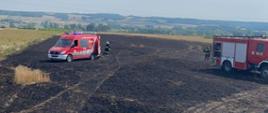 Zdjęcie przedstawia strażaków podczas gaszenia pożaru zboża na pniu. 