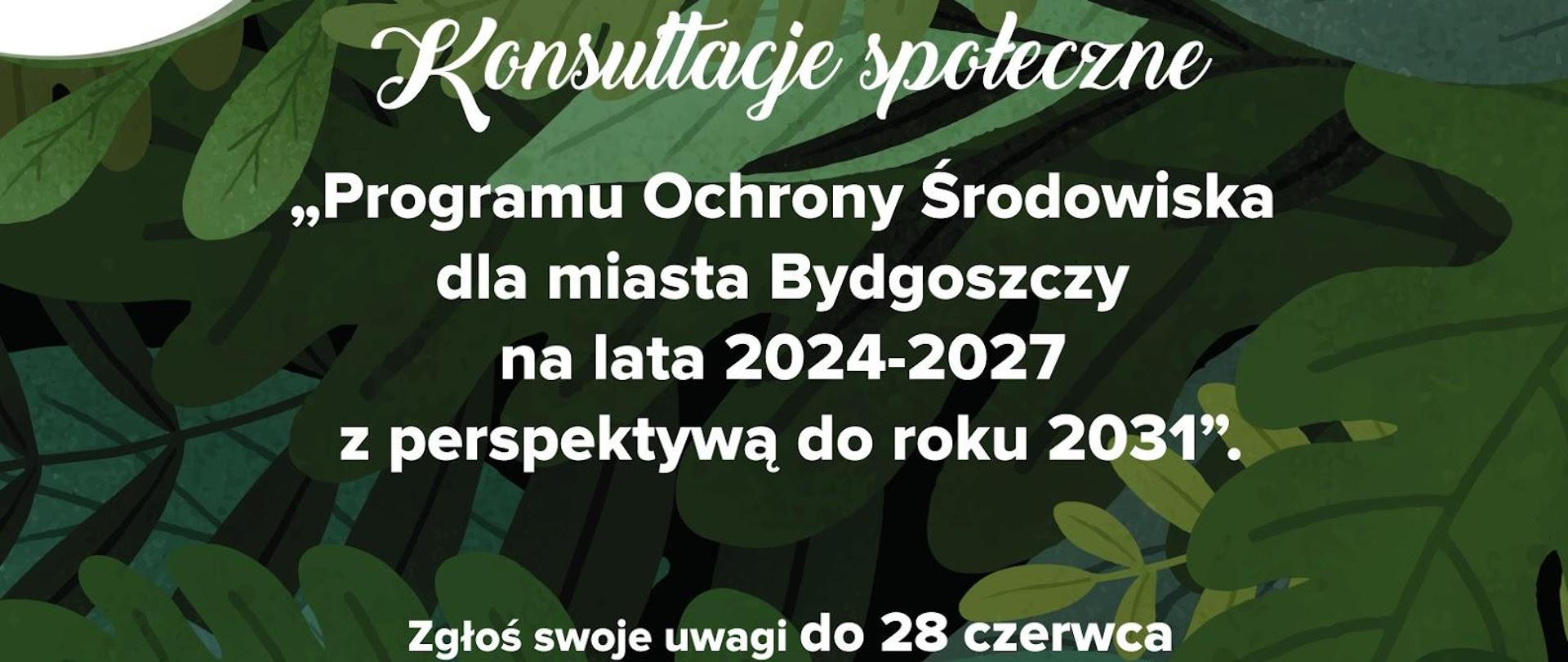 Na tle zielonych liści zaproszenie do konsultacji społecznych Programu Ochrony Środowiska na lata 2024-2027 z perspektywą do 2031 roku. Zgłoś swoje uwagi do 28 czerwca