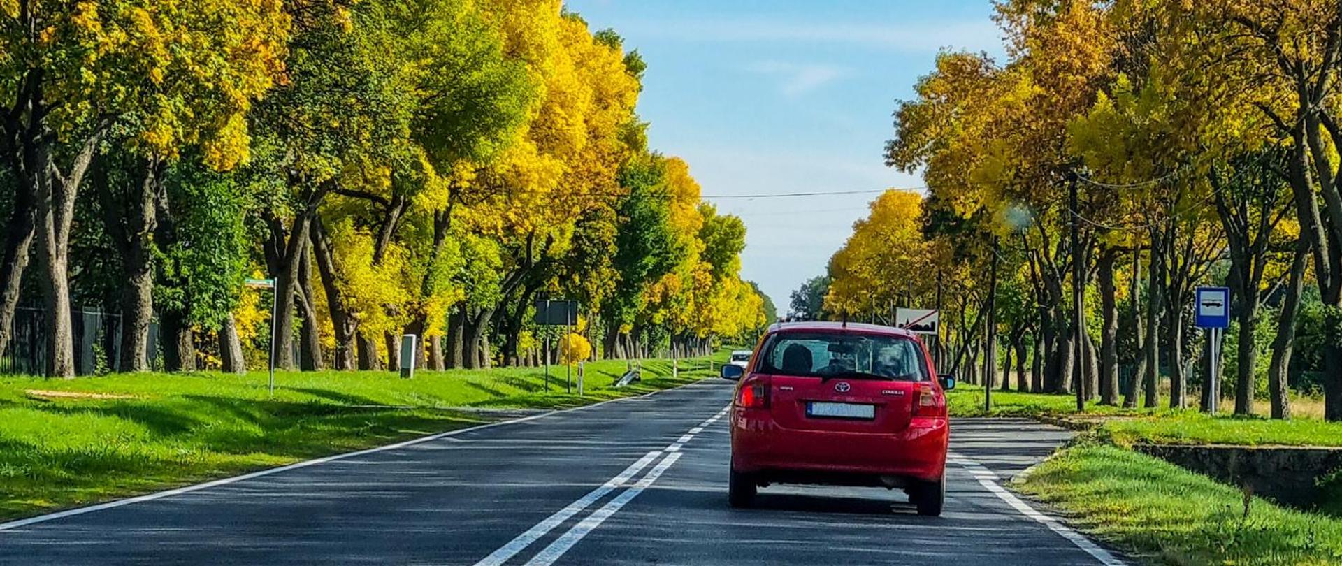 Droga jednojezdniowa w scenerii jesiennej z poruszającymi się samochodami z perspektywy kierującego autem