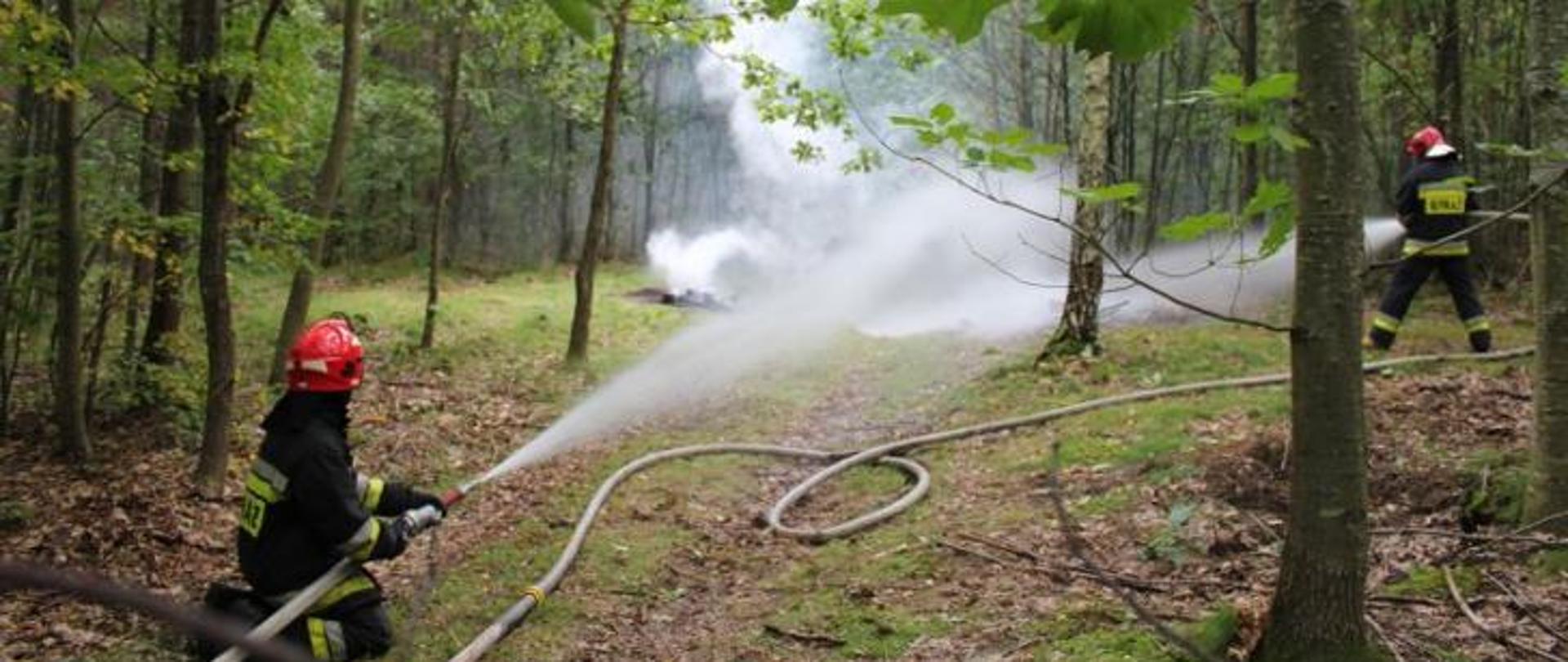 Zdjęcie obrazuje strażaka walczącego z pożarem lasu