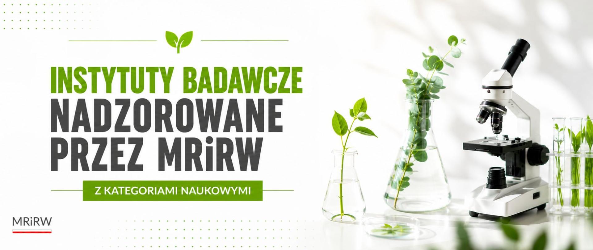 Główne