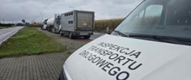 Perspektywa zza przedniej szyby białego vana Inspekcji Transportu Drogowego, z wyraźnym napisem 'INSPEKCJA TRANSPORTU DROGOWEGO' na masce. Na pierwszym planie widoczne są brukowana droga i zielona trawa, a w tle zaparkowane ciężarówki, w tym ciężarówka do przewozu zwierząt i cysterny, oraz fragment pola kukurydzy."
