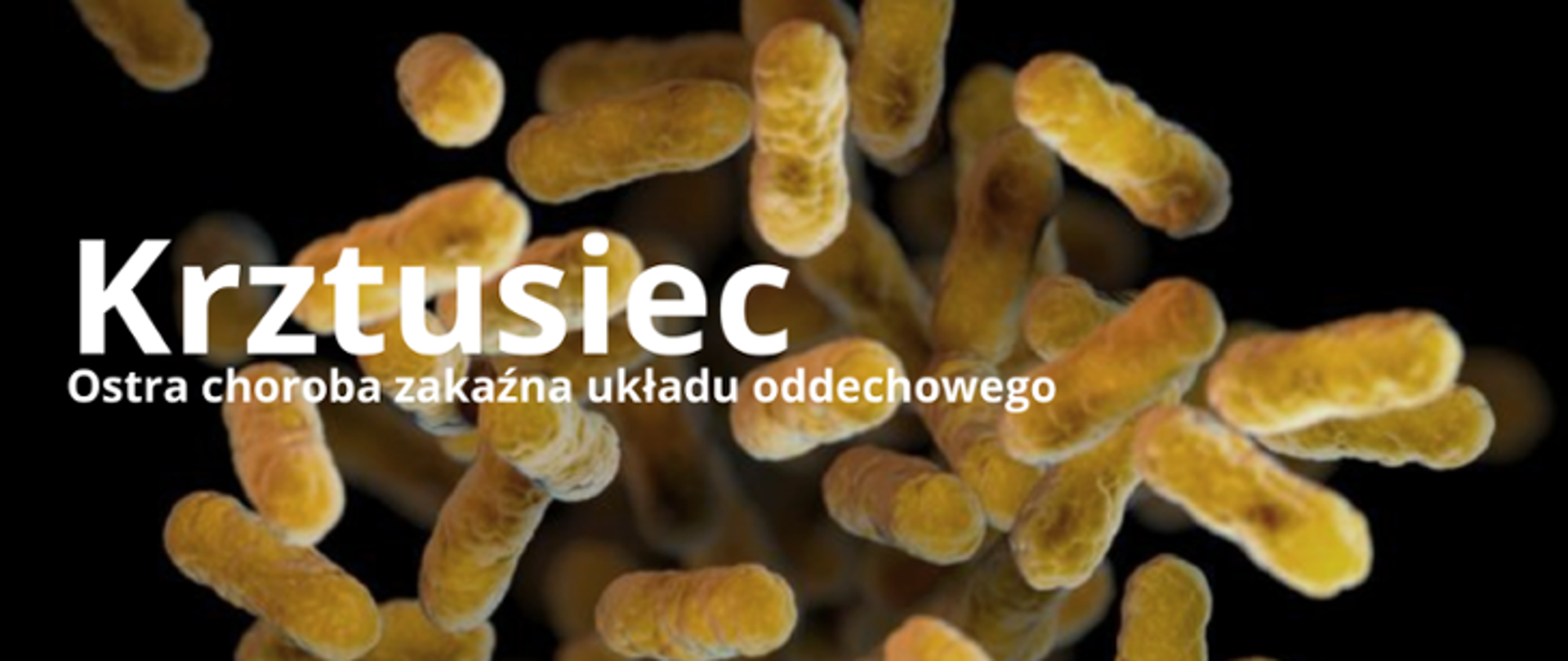 Krztusiec - Ostra choroba zakaźna układu oddechowego