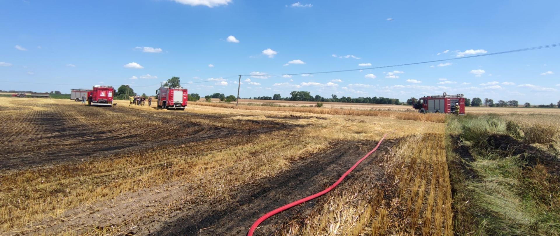 Na zdjęciu widoczne spalone ściernisko. Po ściernisku przebiega linia gaśnicza zasilająca zastęp prowadzący działania. Pożar został ugaszony. Na pogorzelisku widać łącznie trzy zastępy strażaków. 