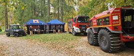 Akademia OLiOC w Białowieży – strażacy edukowali mieszkańców i turystów