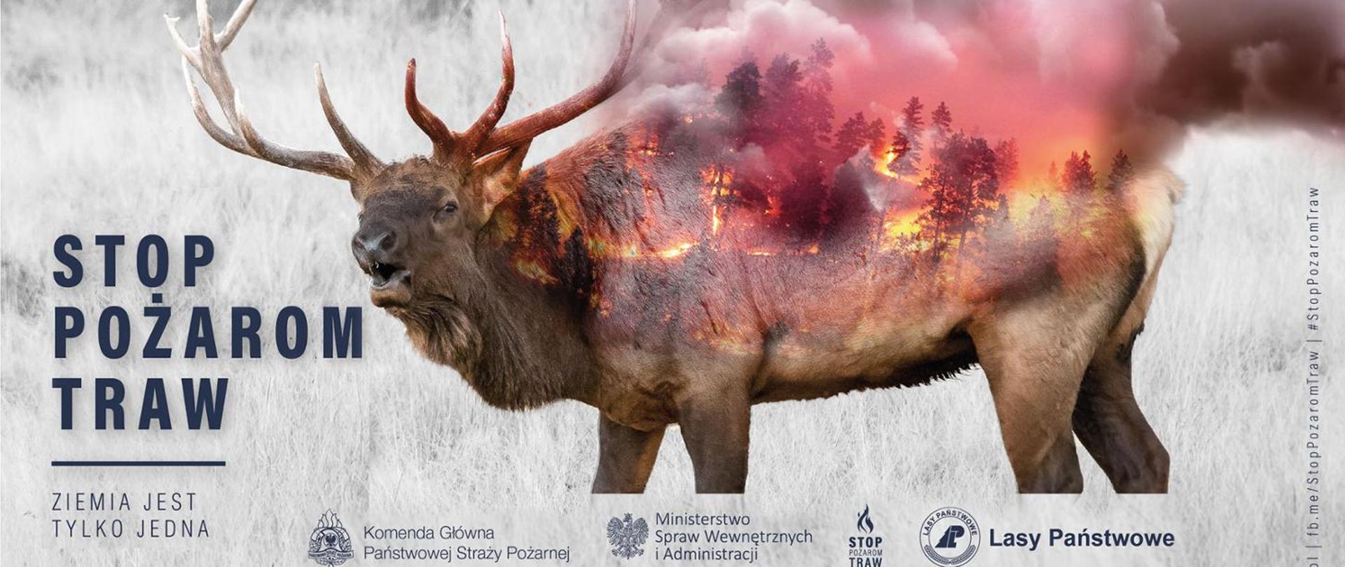 Plakat kampanii społecznej STOP POŻAROM TRAW