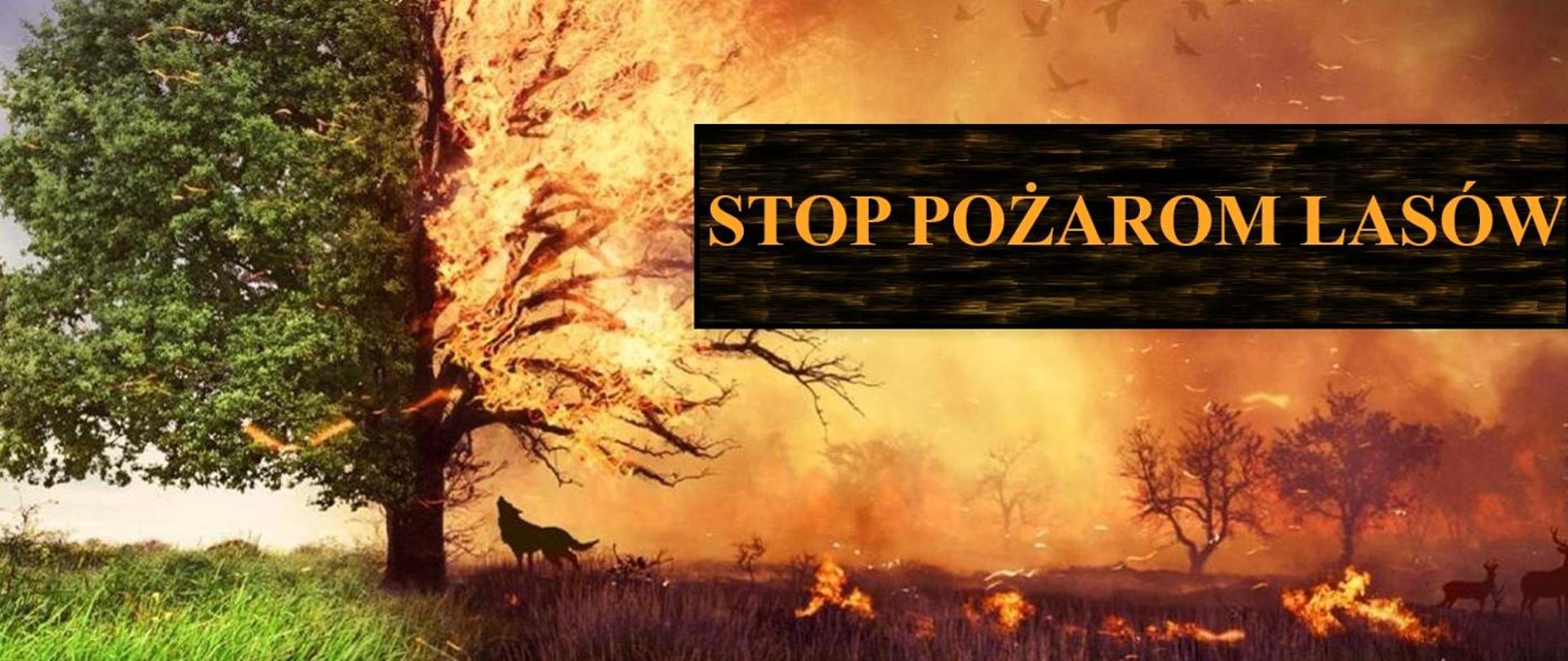 Plakat informacyjny z kampanii „Stop Pożarom Lasów”. W centralnej części grafiki znajduje się zniszczony, czarny, spalony las na tle jaśniejszego, ocalałego fragmentu lasu. Nad nim widnieje duży, czerwono-biały napis „STOP POŻAROM LASÓW”. Grafika ma na celu uświadomienie o niszczycielskiej sile ognia i konieczności ochrony przyrody.