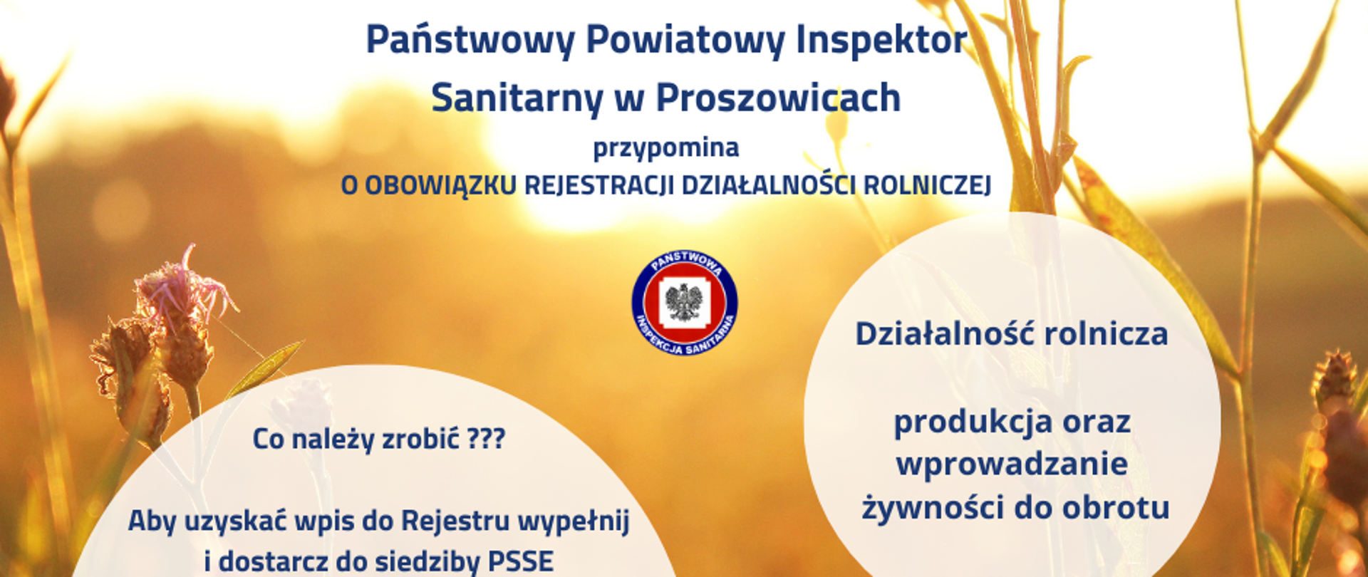 Państwowy Powiatowy Inspektor Sanitarny przypomina o obowiązku rejestracji działalności rolniczej, tekst napisany na tle zbóż 