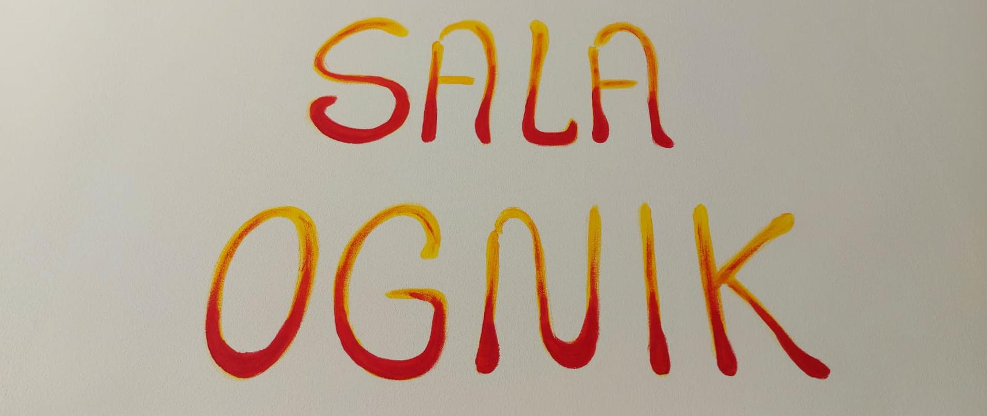 zdjęcie przedstawia napis SALA OGNIK