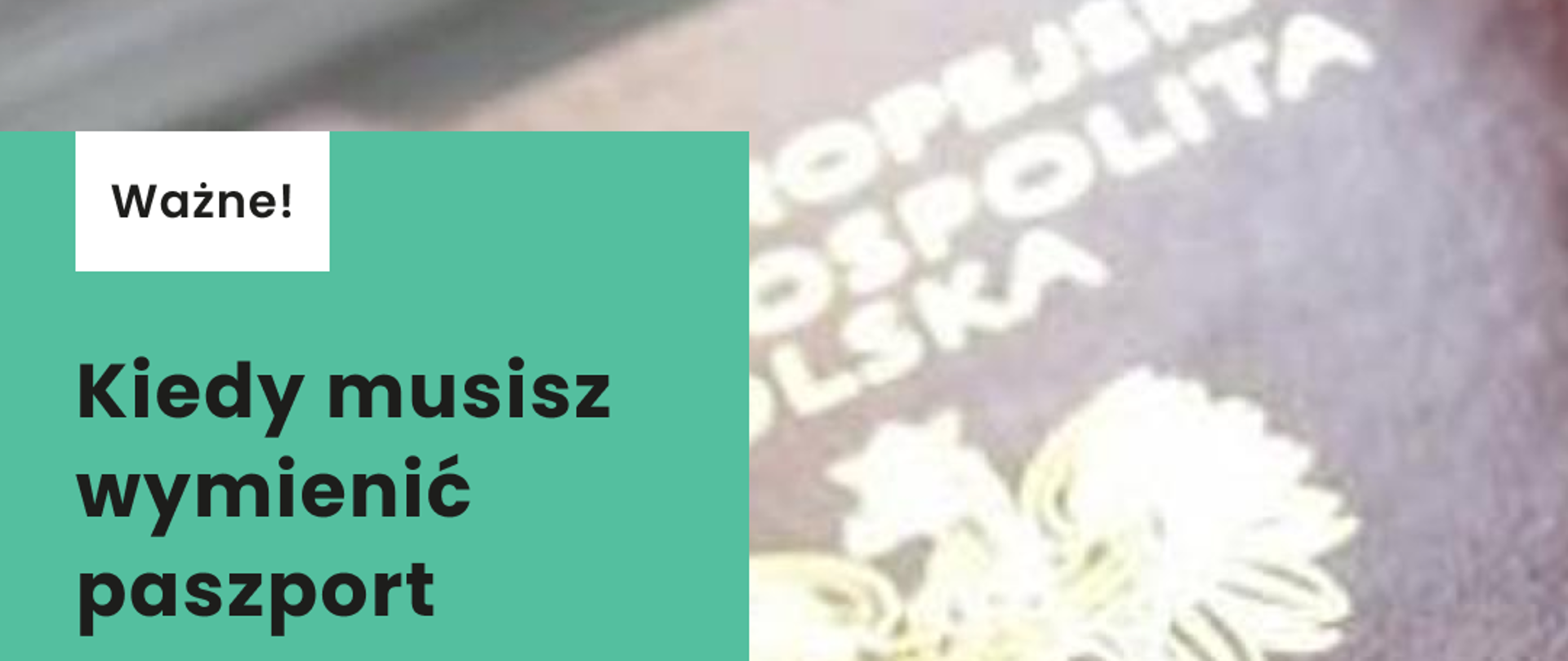 Kiedy wymienić paszport przed wakacjami