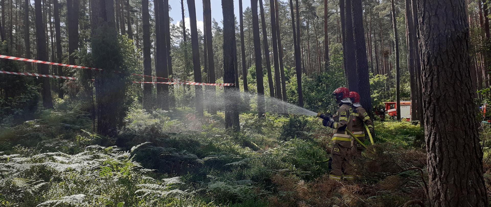 Zdjęcie przedstawia strażaków podczas ćwiczeń