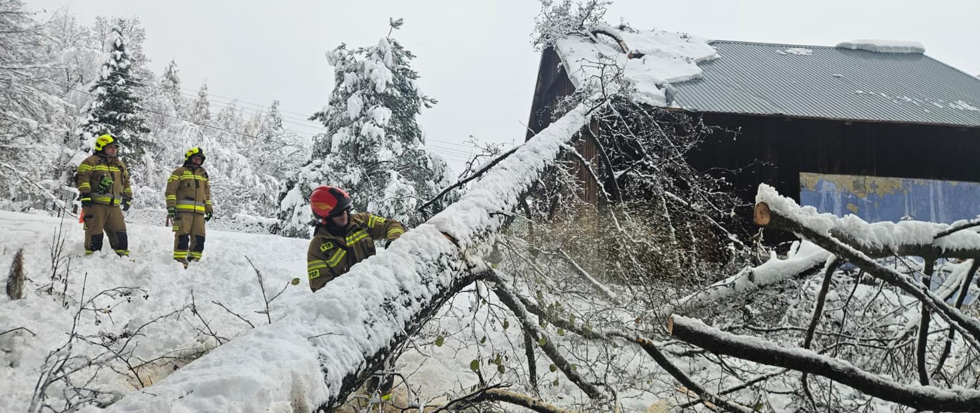 Zdjęcie przedstawia strażaków podczas usuwania szkód spowodowanych śnieżycą