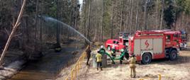 Zdjęcie przedstawia strażaków Państwowej Straży Pożarnej i Ochotniczych Straży Pożarnych oraz przedstawiciela Nadleśnictwa Gołdap, podczas praktycznego sprawdzenia możliwości wykorzystania punktu czerpania wody zlokalizowanego na rzece