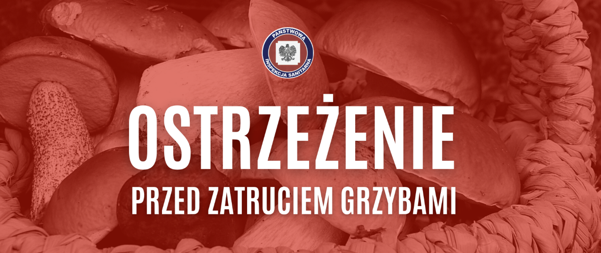 Ostrzeżenie przed zatruciem grzybami