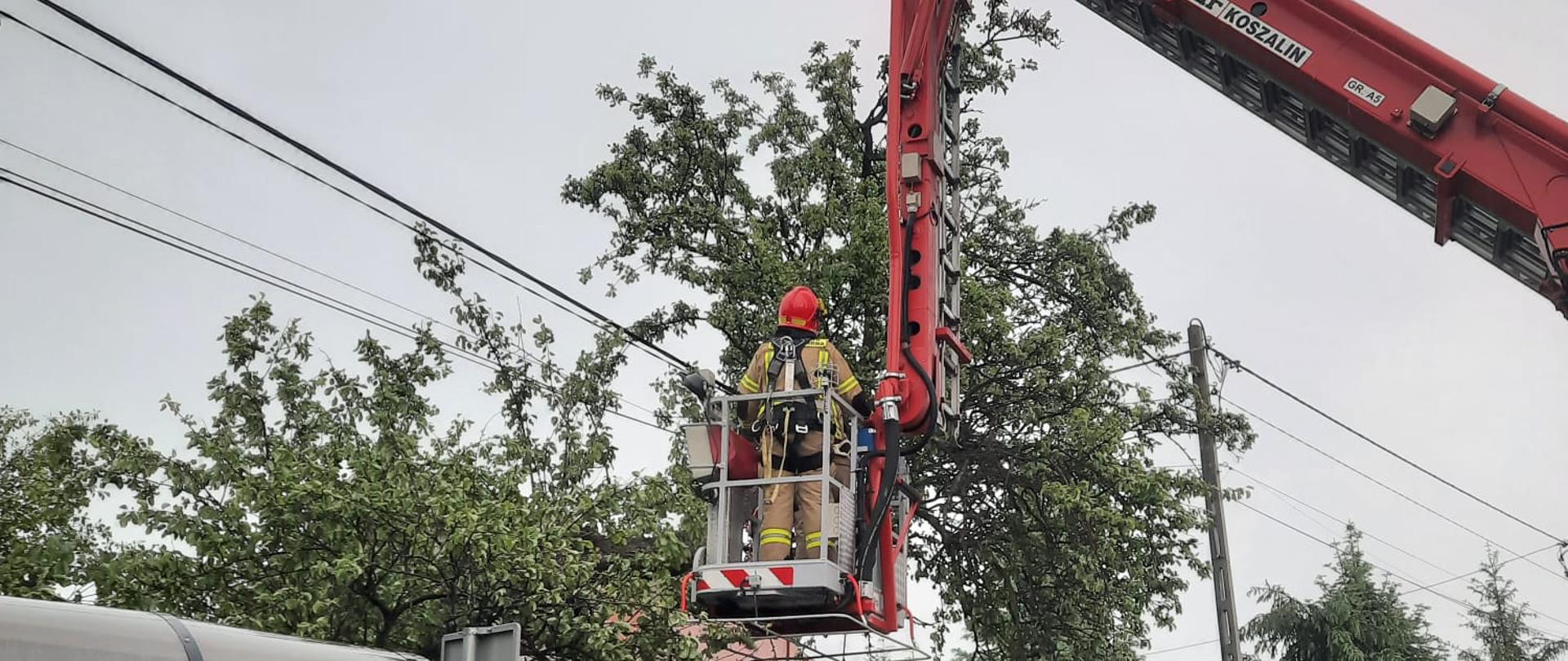 Usuwanie skutków wichury
