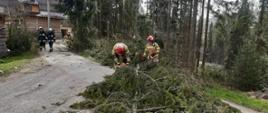 Interwencje związane z usuwaniem skutków silnego wiatru.