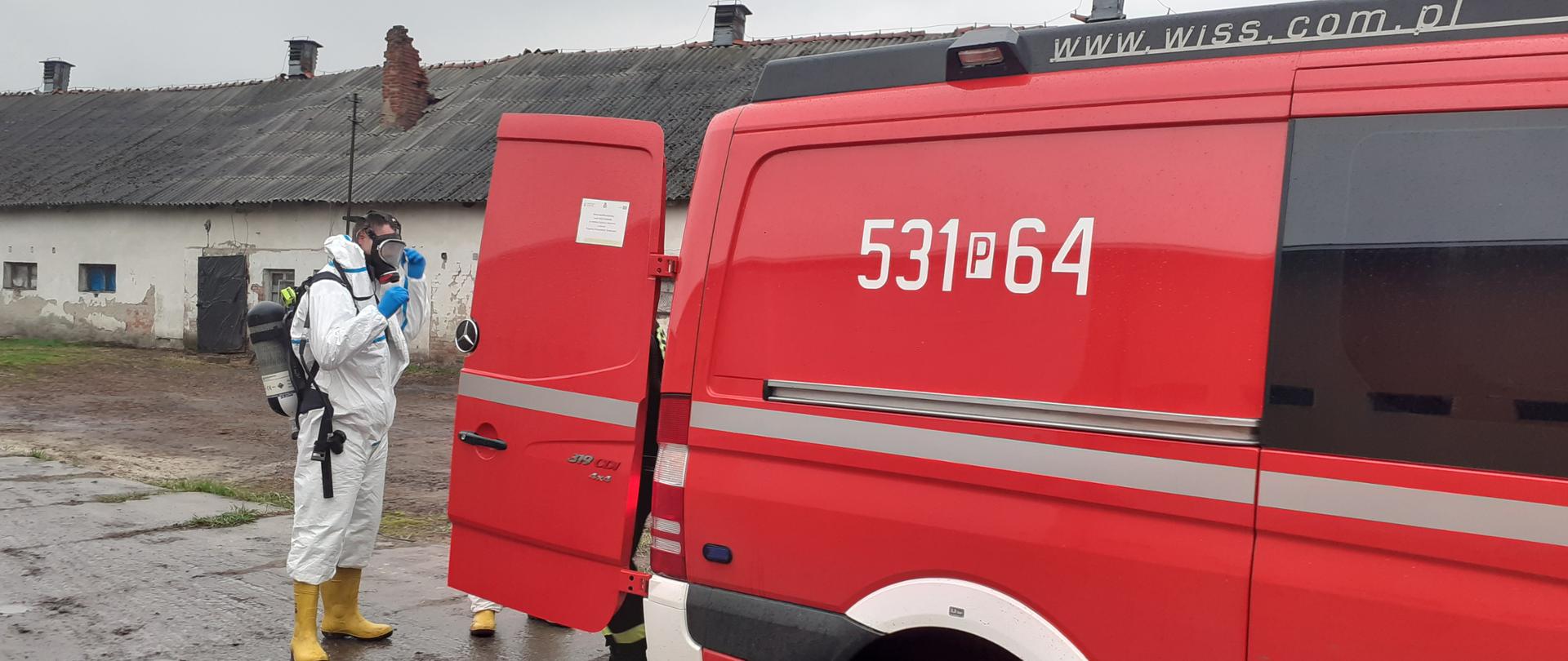 DWA OGNISKA PTASIEJ GRYPY W POWIECIE OSTROWSKIM