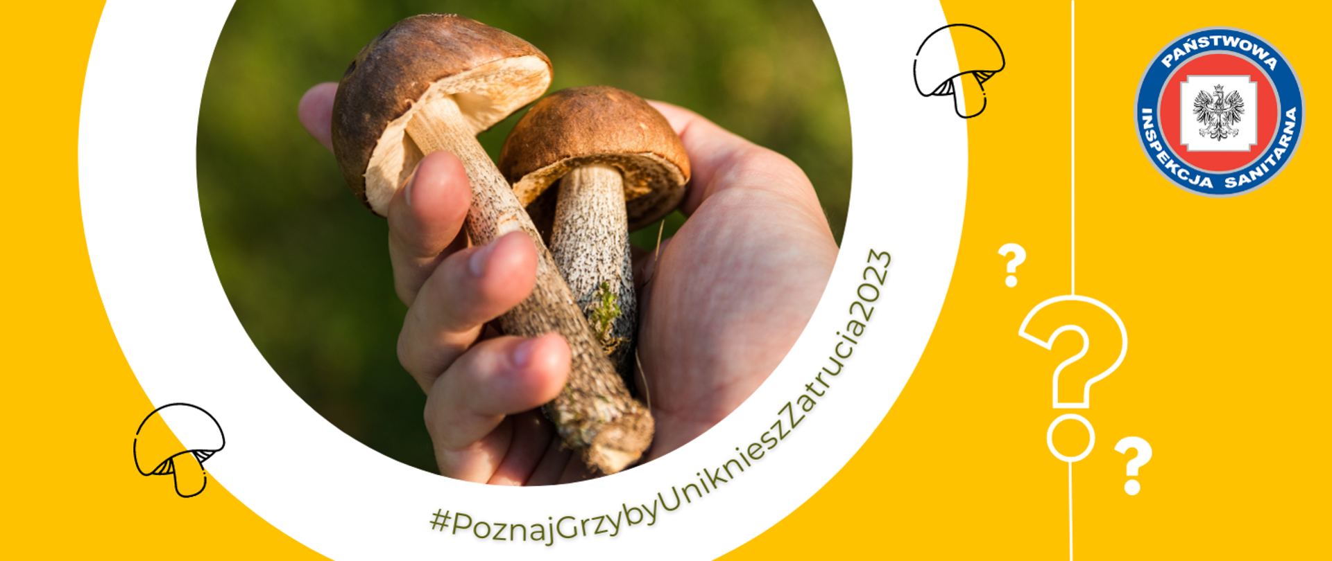 na żółtej planszy białe koło, a w środku okrągłe zdjęcie na którym widnieje dłoń trzymająca dwa grzybki, wokół zdjęcia napis "Poznaj grzyby unikniesz zatrucia"