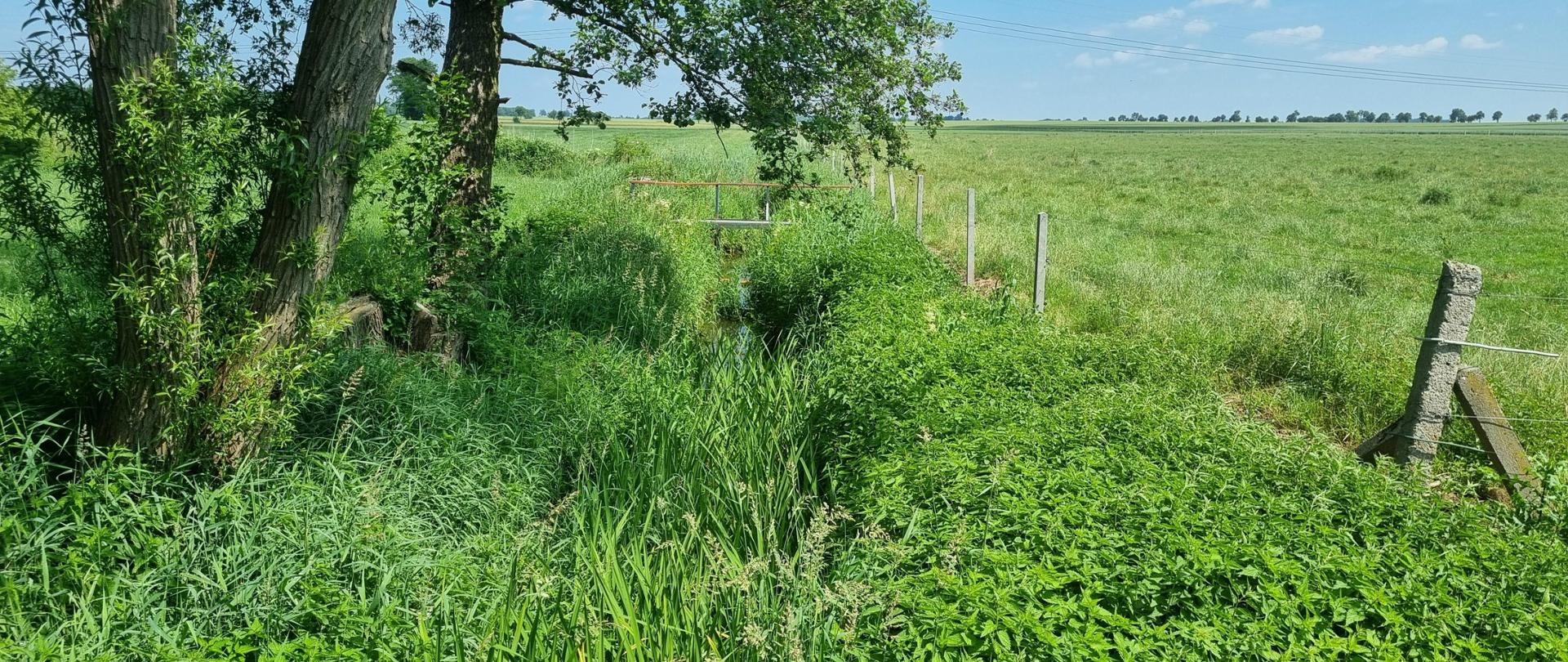 Nawodnienia rolne w powiecie kluczborskim