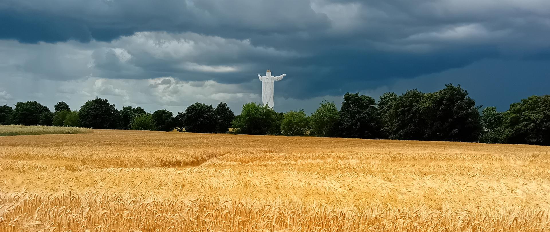 Stacja Doświadczalna Oceny Odmian w Świebodzinie