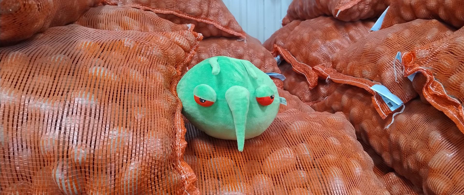 Zdjęcie przedstawia maskotkę Pesty na workach sadzeniaków