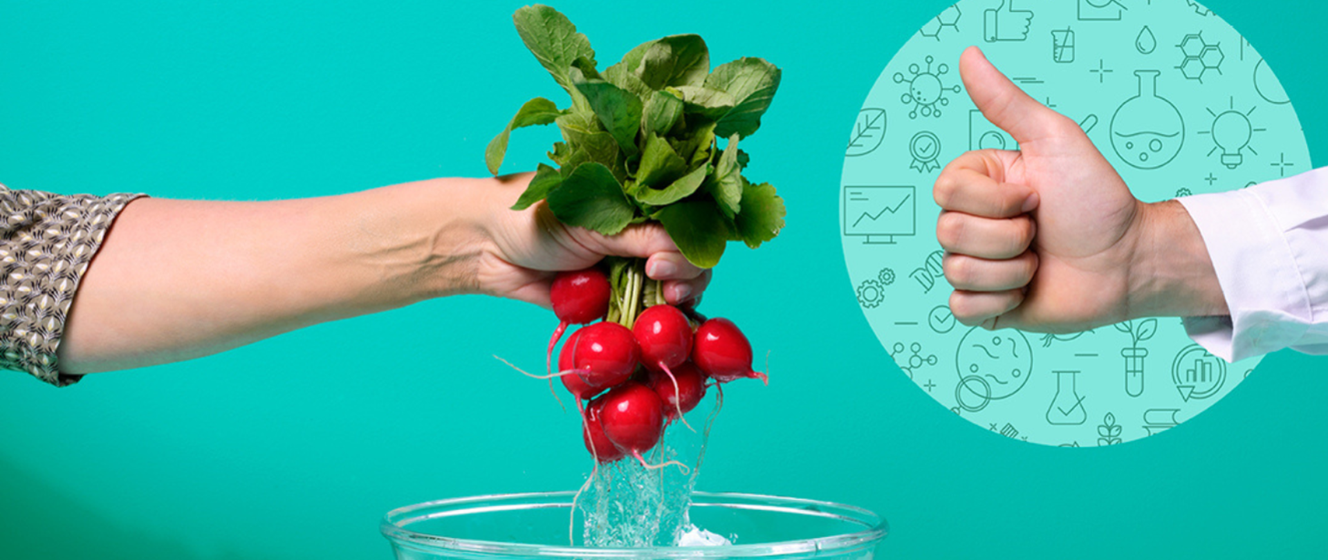 #EUChooseSafeFood Higiena Żywności