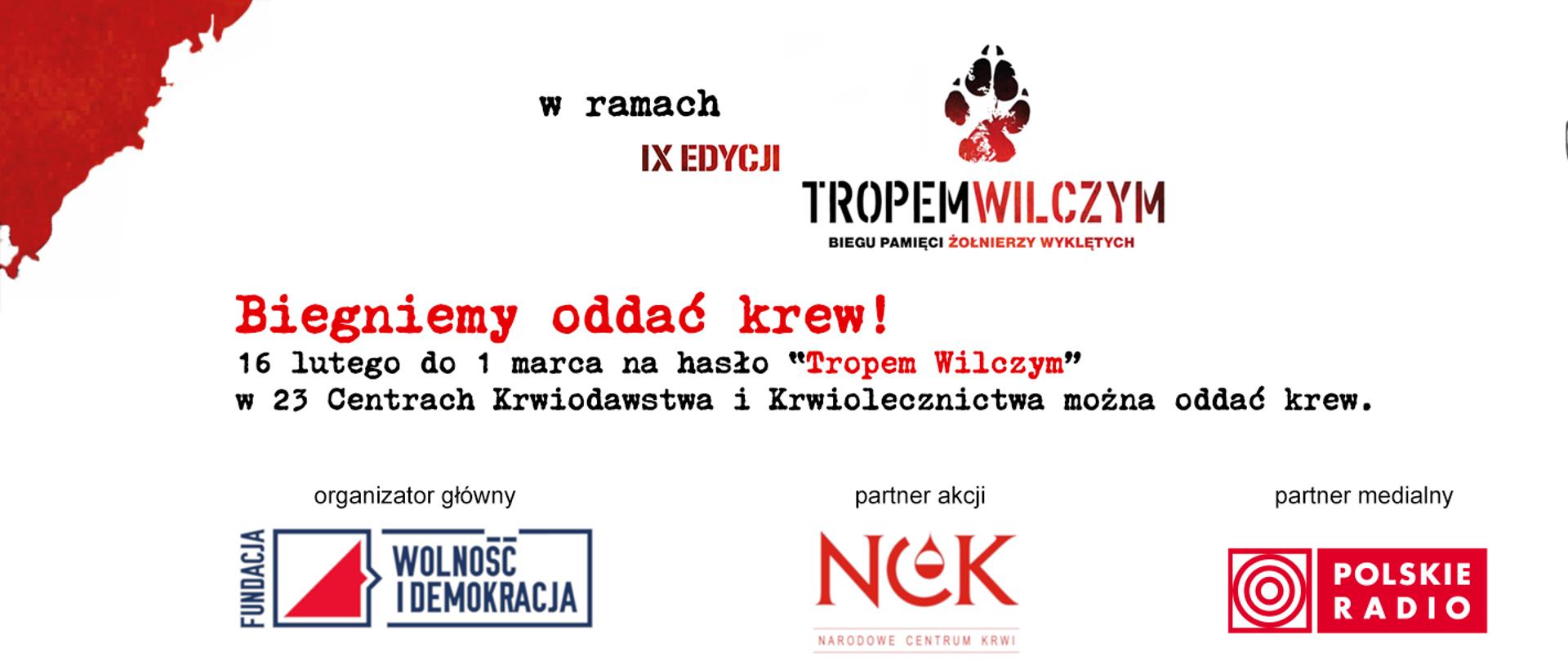 tropem wilczym 1