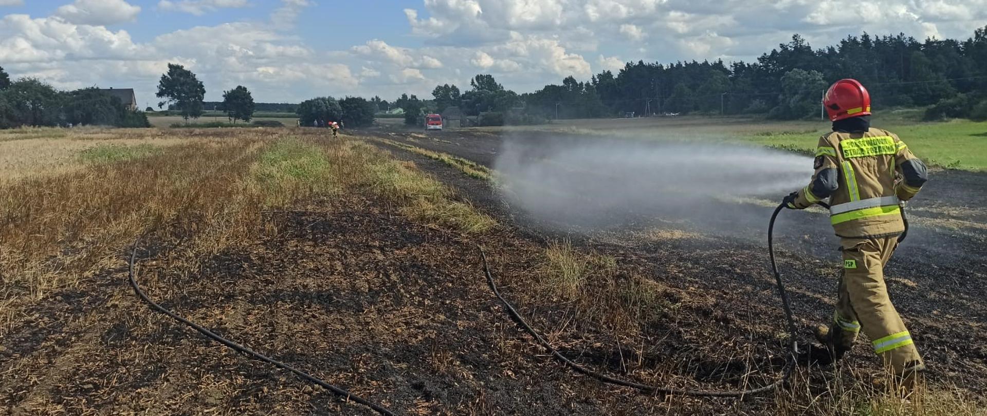 Zdjęcie na pierwszym planie obrazuje strażaka w umundurowaniu specjalnym, który przy użyciu linii szybkiego natarcia gasi palące się ściernisko. Na drugim planie widać kolejnego strażaka oraz samochód ratowniczo-gaśniczy.