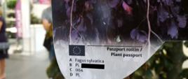 grafika przedstawiająca paszport roślin