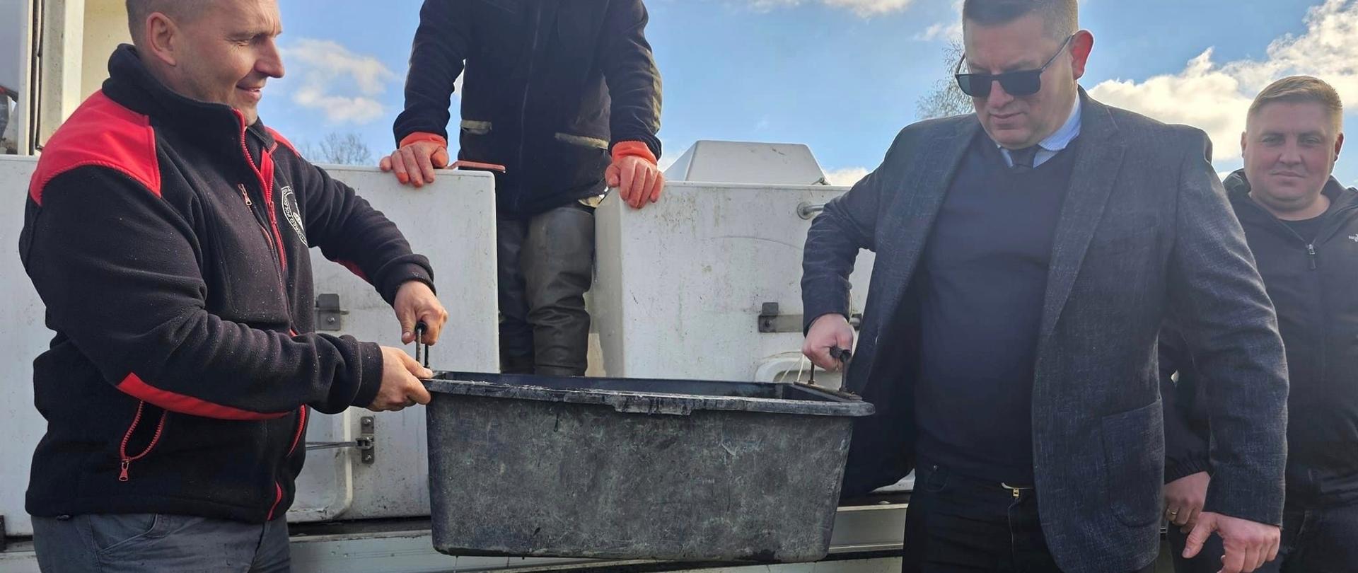 Zarybianie Jeziora Żywieckiego