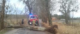 Na zdjęciu widoczne powalone w poprzek asfaltowej drogi drzewo. Za nim trzech rozmawiających strażaków ubranych w bojowe mundury. Pierwszy z prawej w czarnej kurtce i czerwonym hełmie na głowie. Drugi z prawej w piaskowej kurtce i spodniach i czerwonym hełmie na głowie. Trzeci zapina czarna kurtkę nałożoną na piaskowy mundur, bez nakrycia głowy. Obok po lewej stronie widoczny prawy bok przyglądającej się im postaci ubranej w czarną kurtkę z założonym na głowie kapturem. Dalej widoczny przód samochodu strażackiego z włączona sygnalizacja świetlną. Po obu stronach drogi pokryte suchymi trawami pobocze. W tle i wzdłuż drogi drzewa, niewielkie zabudowania. Niebo jasne, zachmurzone.