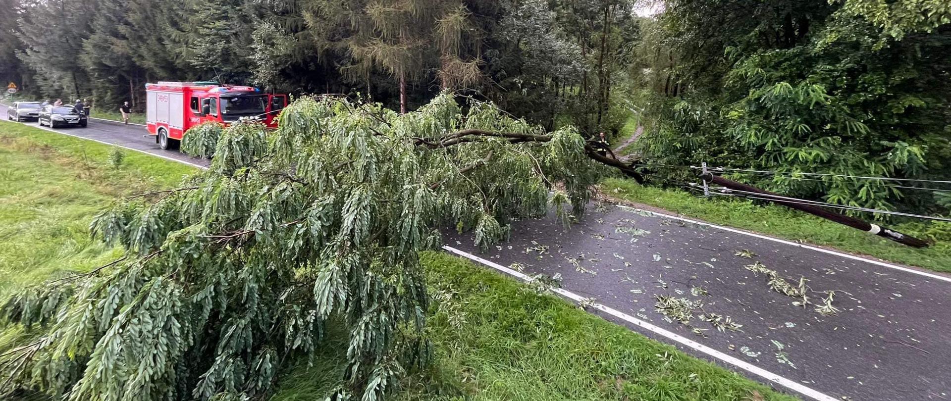 Drzewo powalone na drogę a obok samochód pożarniczy