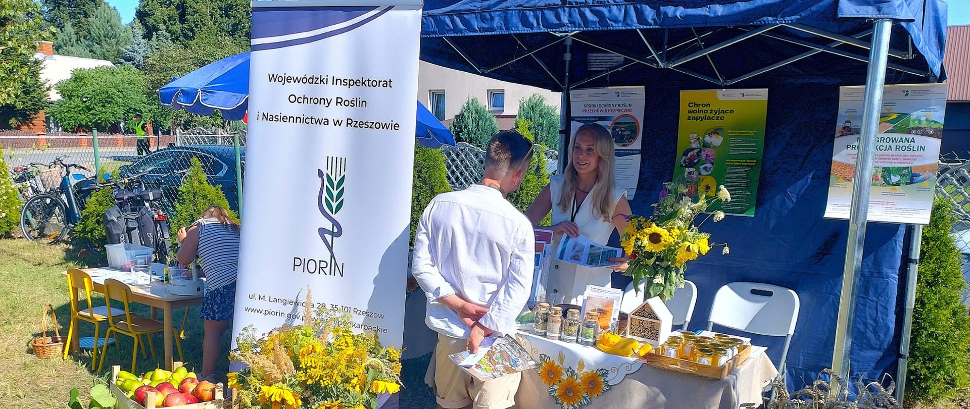 Zdjęcie przedstawia plenerowe stoisko podczas lokalnego wydarzenia rolniczego. W centrum znajduje się namiot Wojewódzkiego Inspektoratu Ochrony Roślin i Nasiennictwa w Rzeszowie, a przed nim ekspozycja z koszami pełnymi owoców, warzyw i kwiatów. Przy stoisku stoją i rozmawiają dorośli mężczyzna i kobieta w bałej sukience. W tle znajdują się budynki gospodarcze i drzewa, a nad całością rozciąga się bezchmurne, błękitne niebo.
