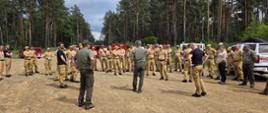Leśna Tarcza 2026 - wspólne działania strażaków i leśników dla bezpieczeństwa śląskich lasów