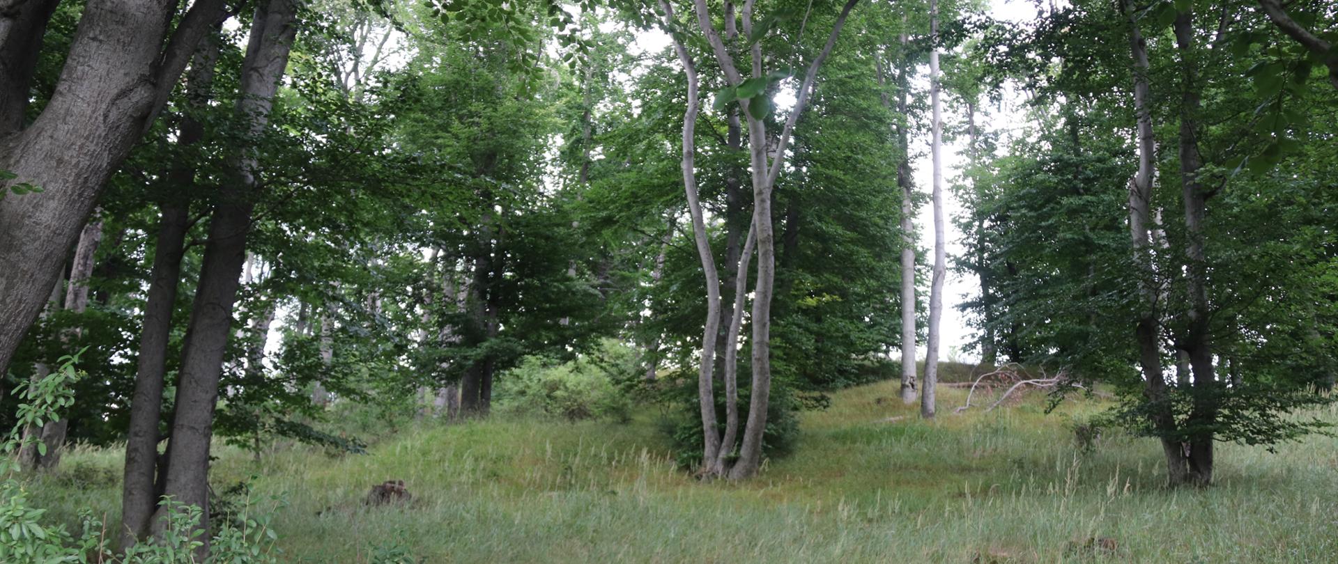 Widok_na_ostańca_denudacyjnego_(strona_tytułowa)