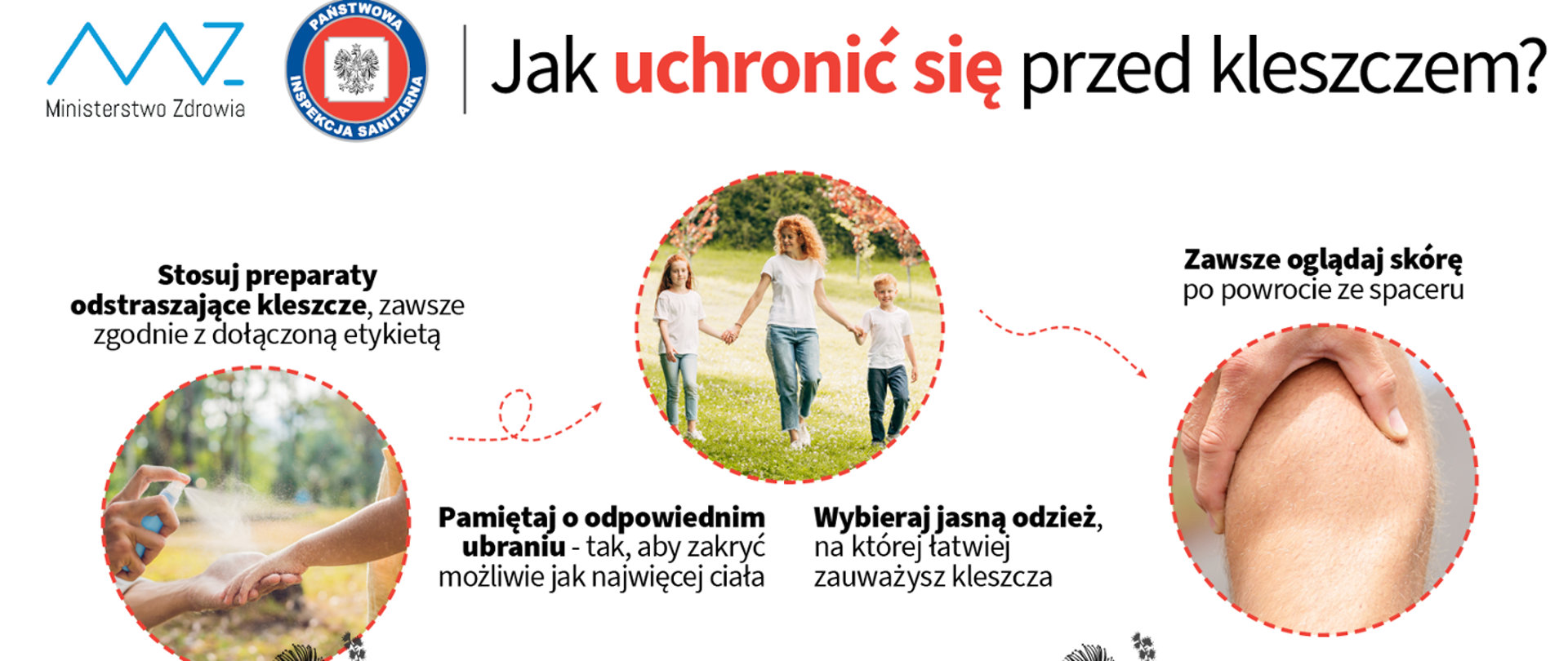 Jak uchronić się przed kleszczem