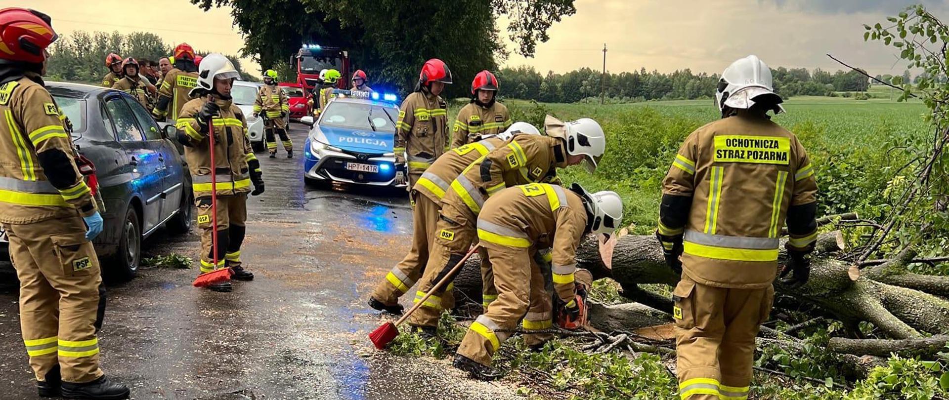Na mokrej drodze strażacy usuwają złamany konar drzewa. W oddali samochody strażackie. Pochmurne niebo.