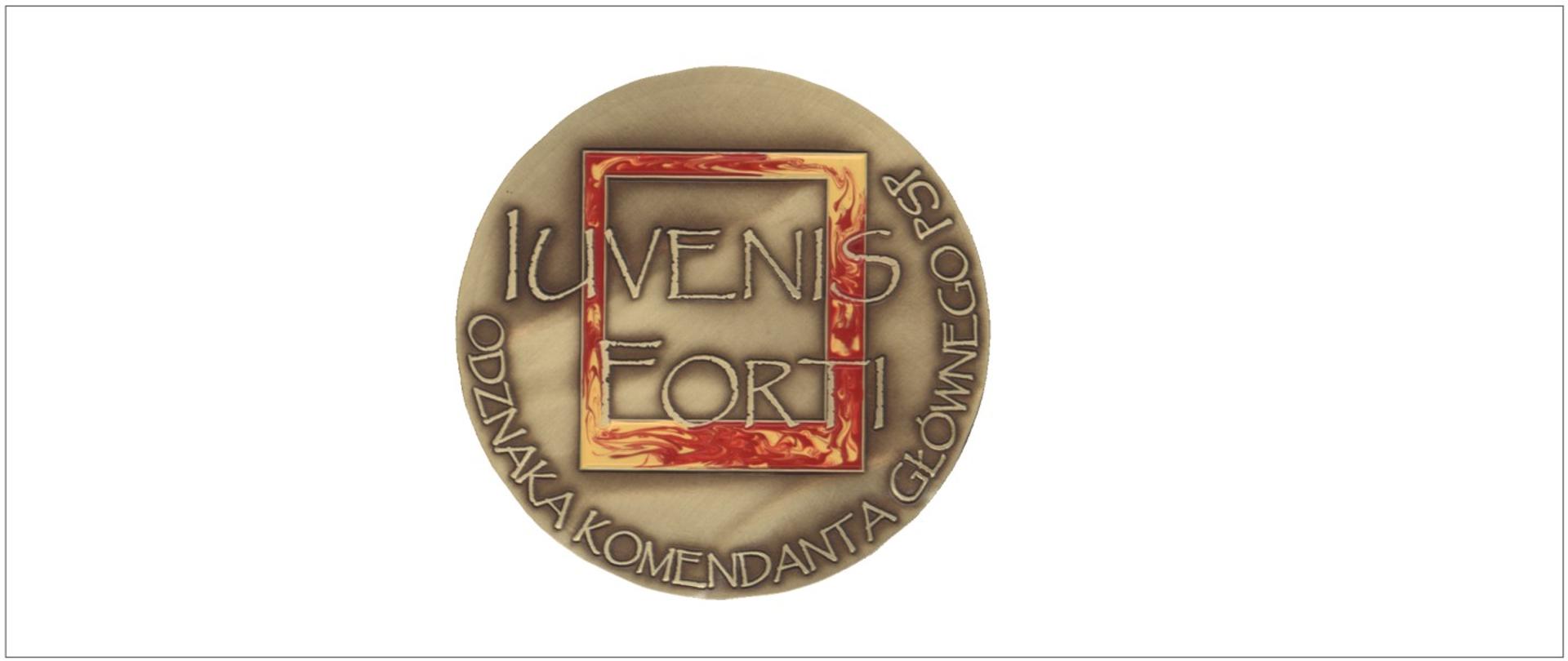 Formularz zgłoszenia do Odznaki Komendanta Głównego PSP „Iuvenis Forti”