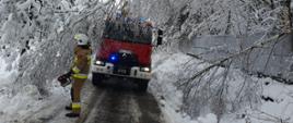 Zdjęcie przestawia strażaka ubranego w umundurowanie specjalne koloru żółtego i hełm na głowie. W tle jest samochód strażacki koloru czerwonego oraz nadłamany konar drzewa oraz przysypane wszystko dookoła śniegiem.