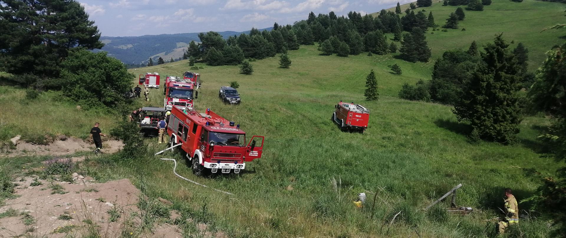 Pożar zarośli, trawy i drzew w całości po stronie Słowackiej