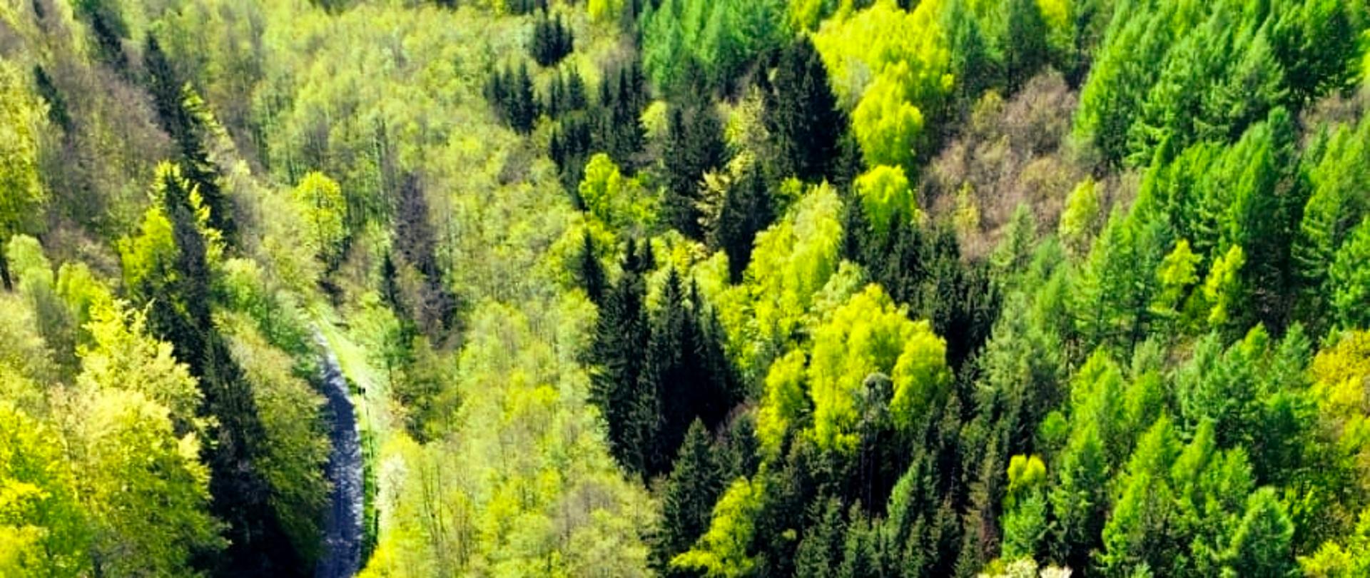 Dolina Pięciu Jezior