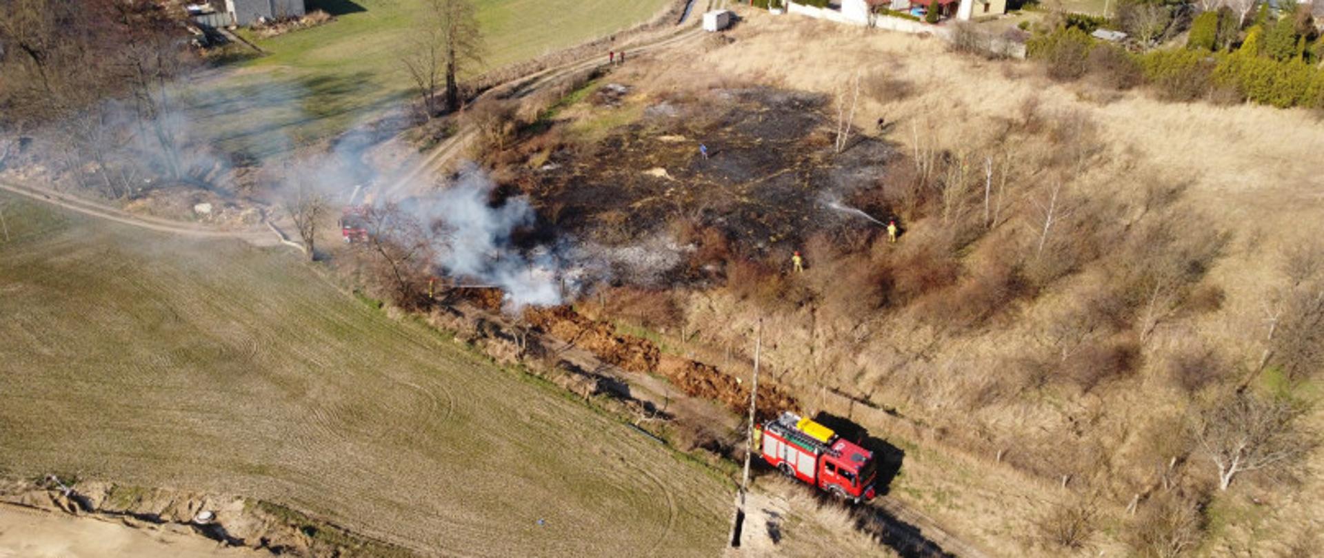 Zdjęcie przedstawia wypalone pozostałości po pożarze trawy i krzewów.