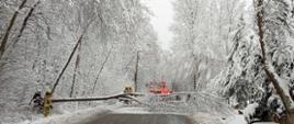 Widok ogólny na drogę. Po obu stronach ośnieżone drzewa a na drodze leży powalone drzewo. Na drugim planie za powalonym drzewem samochód ratowniczo-gaśniczy. Wokół drzewa widoczni czterej strażacy w trakcie udrażniania drogi.
