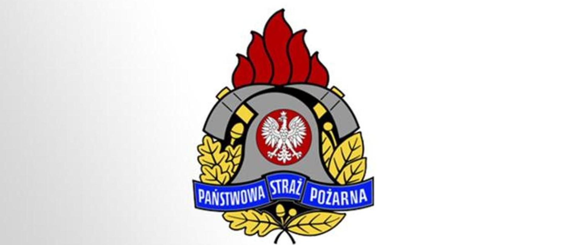 Logo PSP