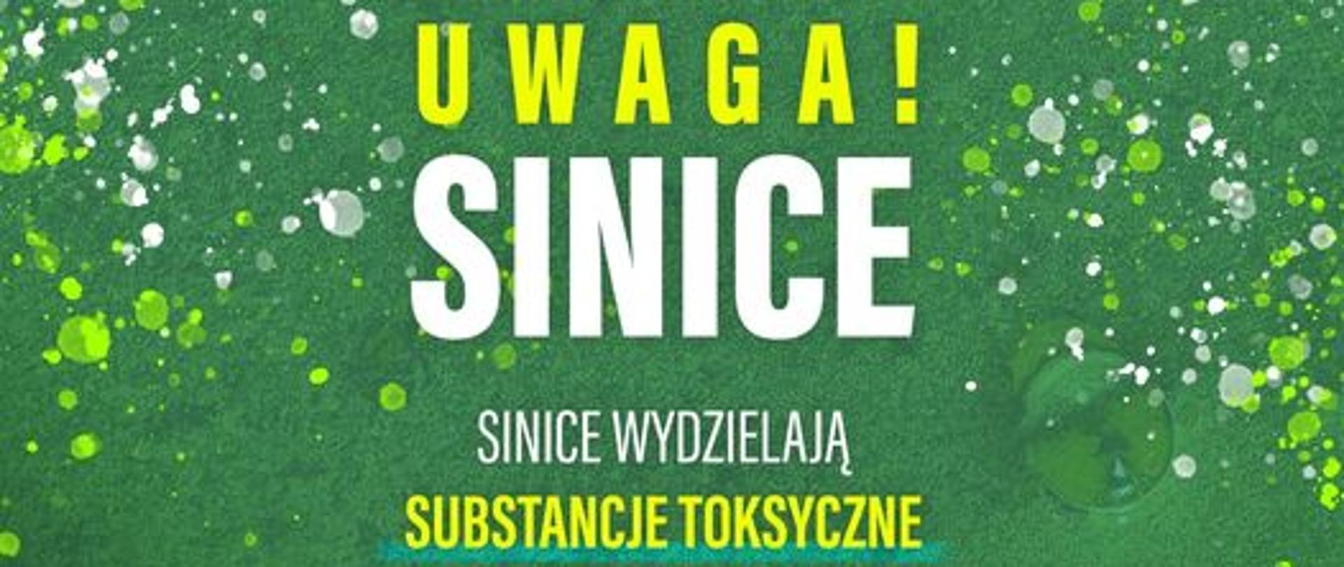 Uwaga na sinice