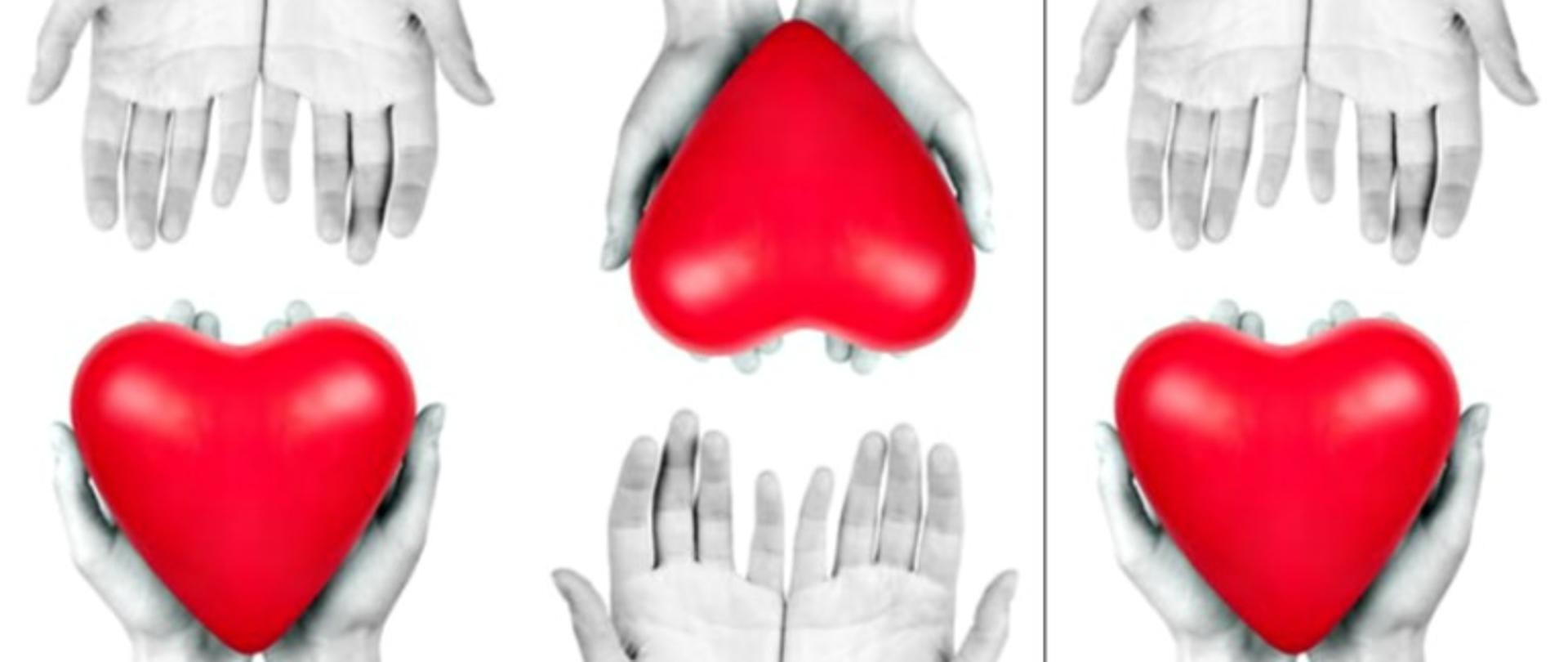 przeszcep-768x434[59]