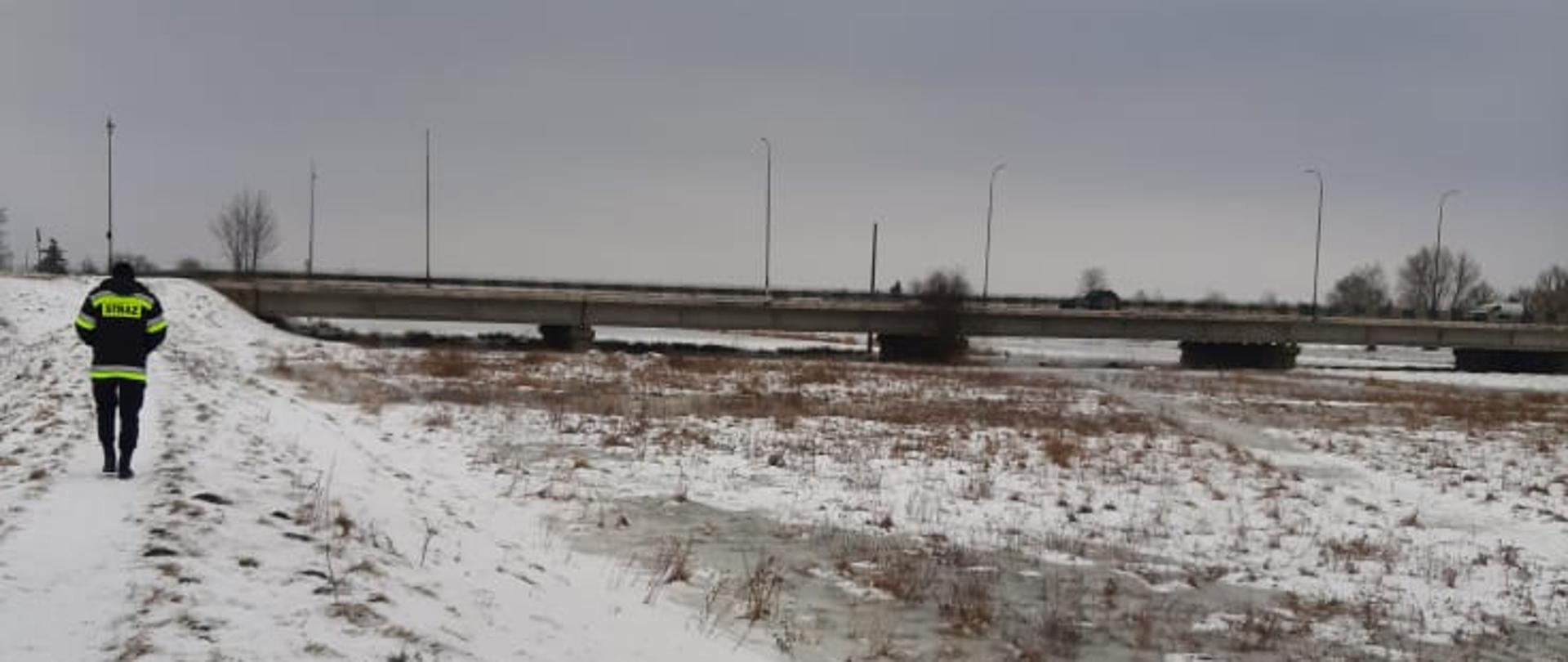 Strażacy z Komendy Powiatowej PSP w Pińczowie rozpoznają zagrożenie powodziowe na terenie powiatu pińczowskiego 