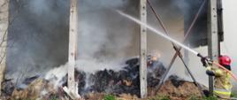 Pożar pustostanu w Witoszycach - 3