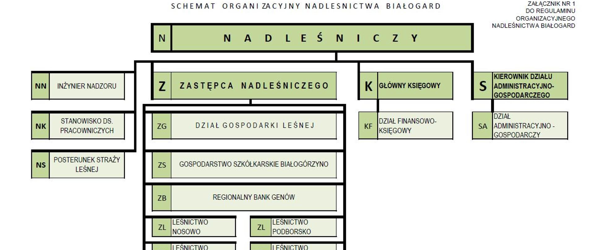 Schemat organizacyjny Nadleśnictwo Białogard