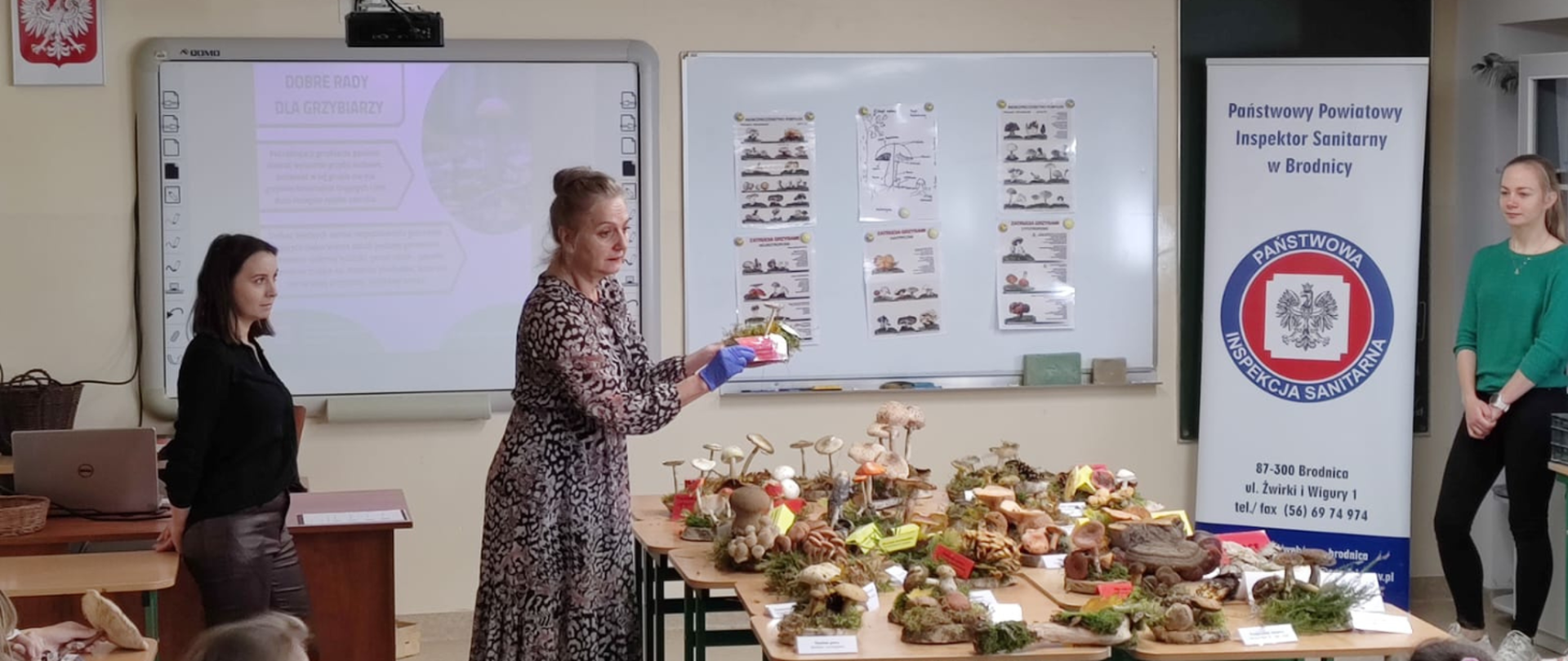 Wystawa grzybów 13.10.2022 r.